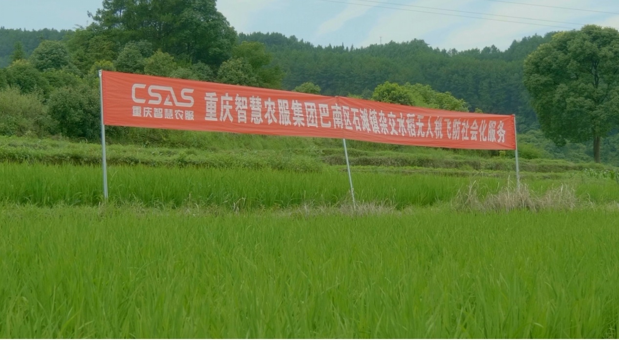 城东供销社